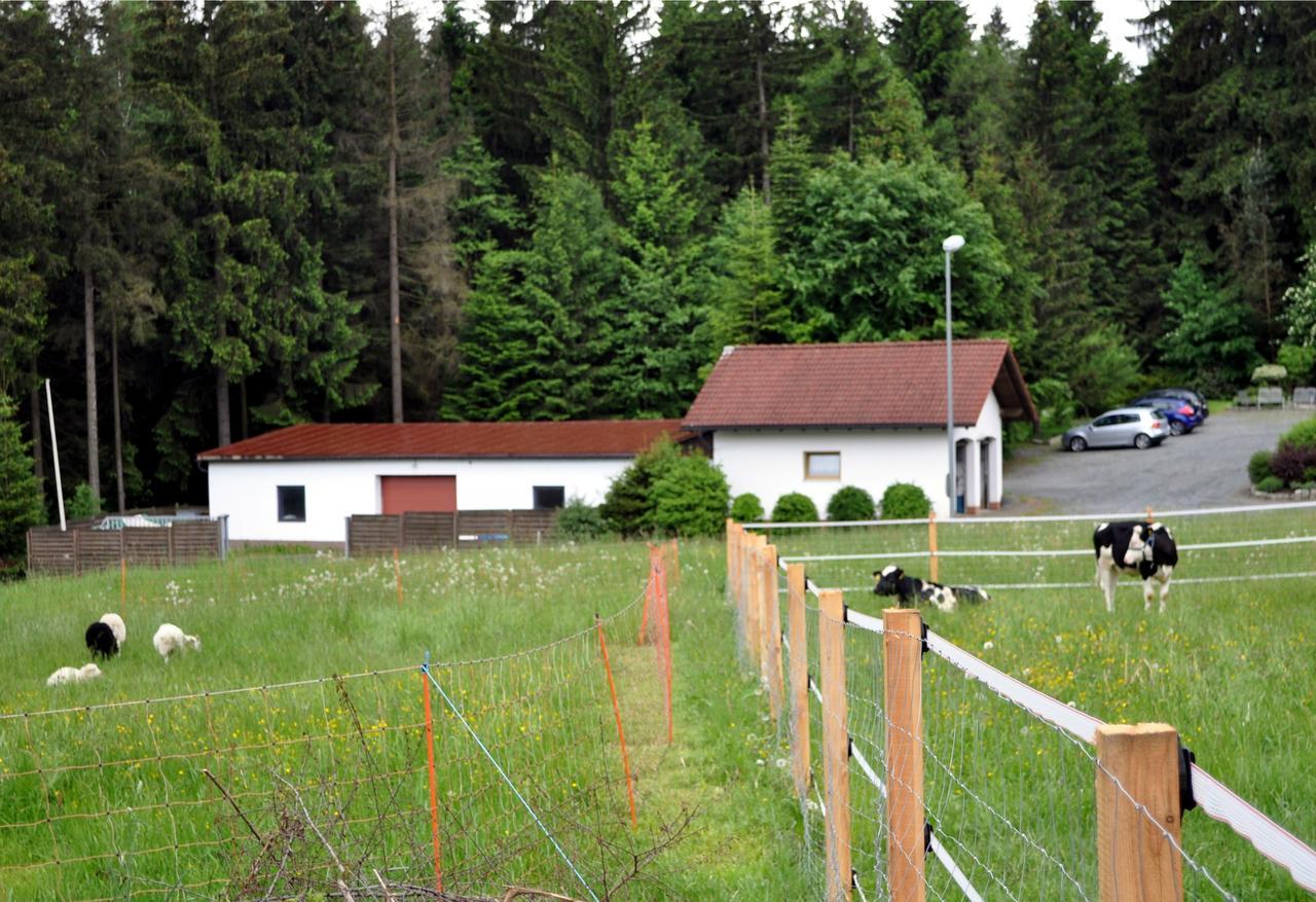 Ferienhaus Mueller Warmensteinach Zewnętrze zdjęcie