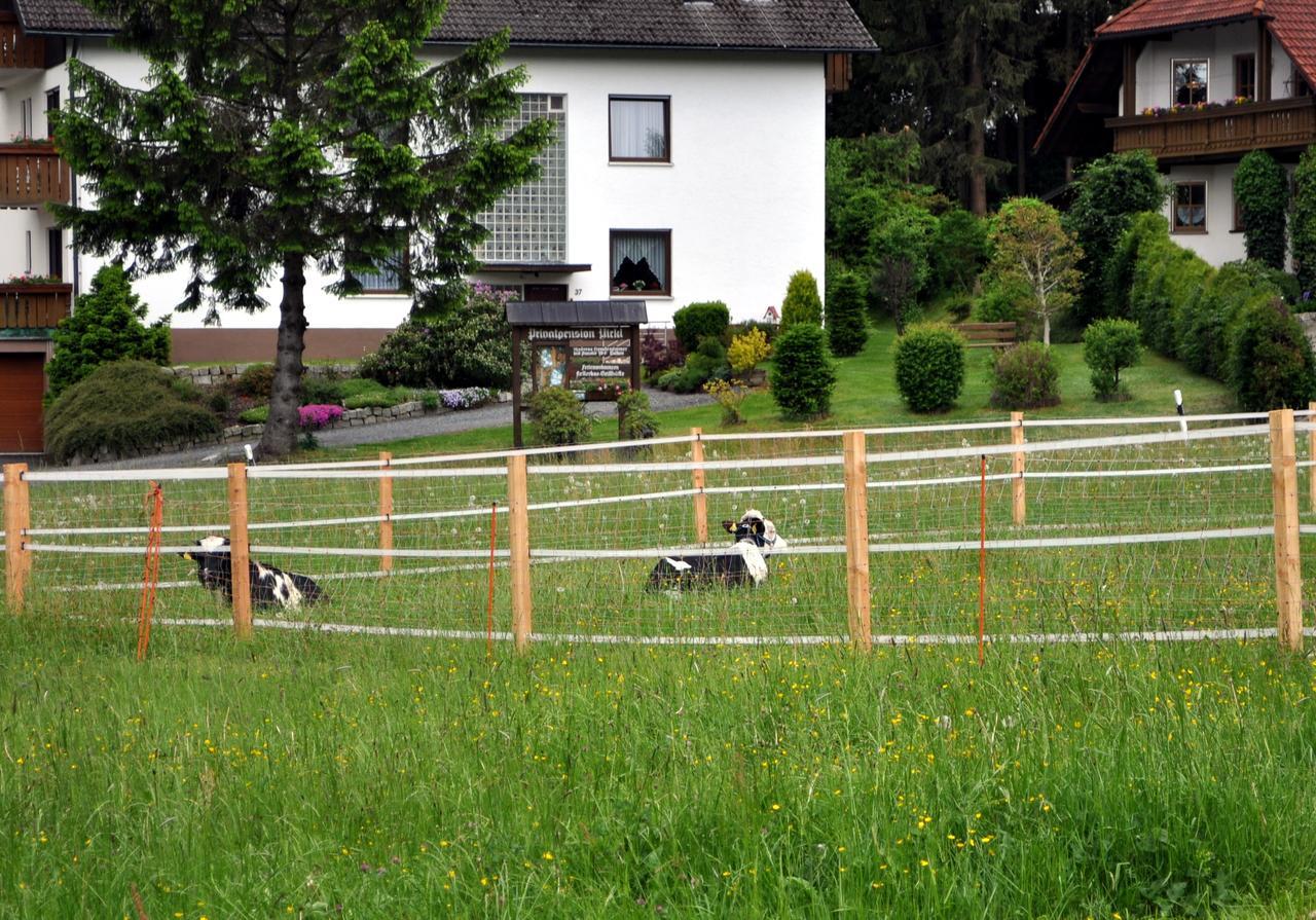 Ferienhaus Mueller Warmensteinach Zewnętrze zdjęcie